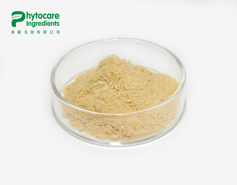 Tea Saponins Powder
